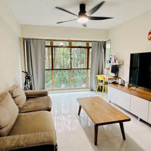 316C Anchorvale Link (HDB)