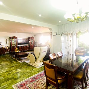 Braddell View (RCR Condo)