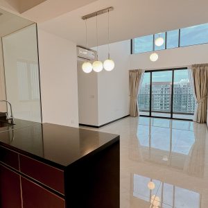 Normanton Park (RCR Condo Penthouse)